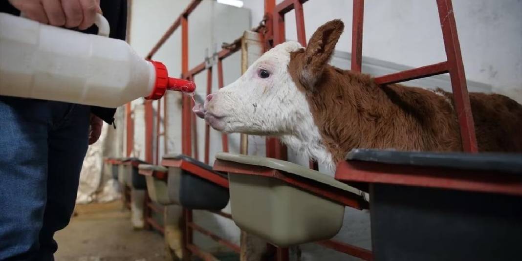 Patronundan maaş beklerken şimdi o maaş veriyor! Arabasını satıp girdiği işte köşeyi döndü 7